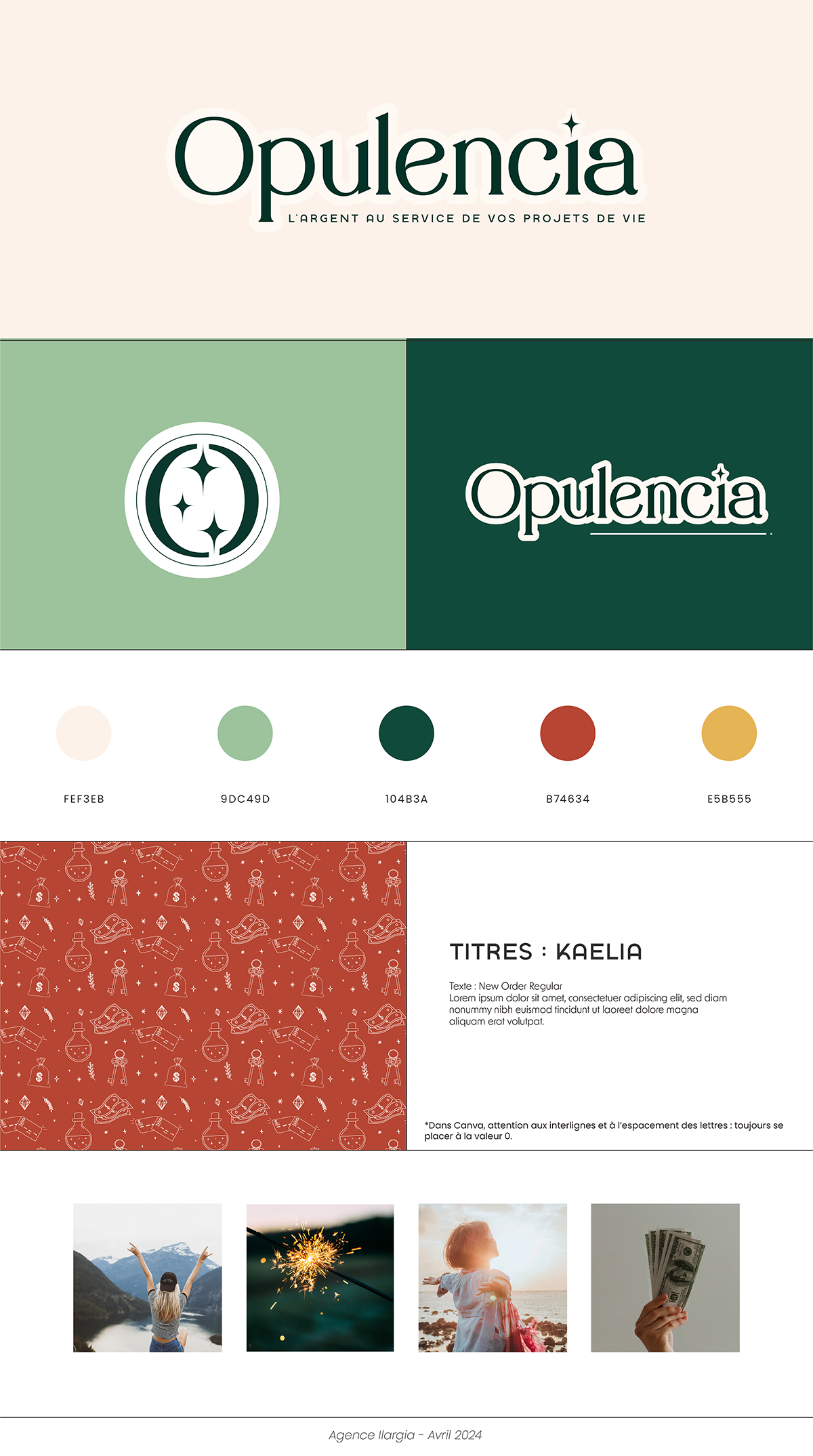 identite visuelle logo charte graphique opulencia nantes gestion finances