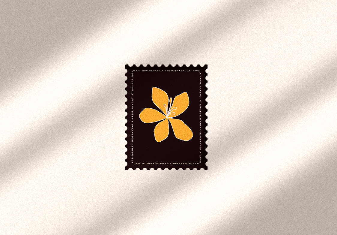 vanille-paprika-videaste-reunion-suisse-identite-marque-logo-colore-retro